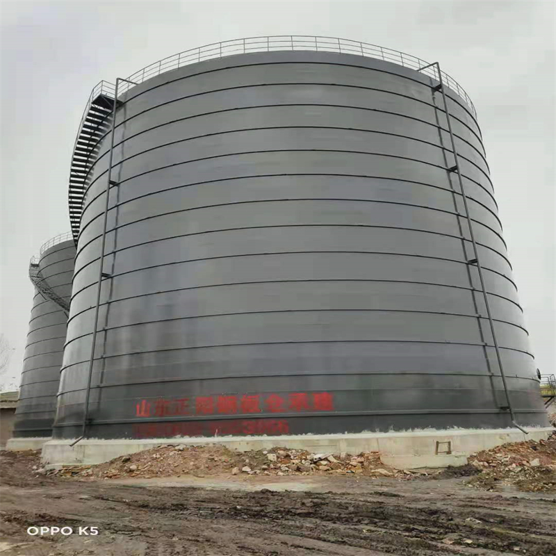 建邺3万吨大型钢板库