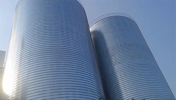 建邺2座混凝土高架卷板仓